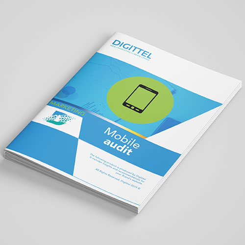 Mobile Audit