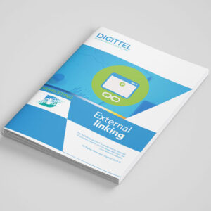 External Linking Audit | Digittel